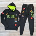 Ensemble Zoom Flight ICON2