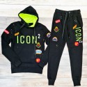 Ensemble Zoom Flight ICON2