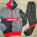 Ensemble Zoom Flight
