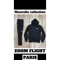Ensemble Zoom Flight